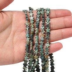Natural African Turquoise(Jasper) Beads Strands&nbsp;G-F817-A14-01