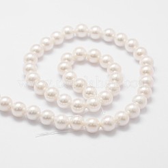 Rainbow Plated Shell Pearl Bead Strands&nbsp;X-BSHE-L025-02-6mm