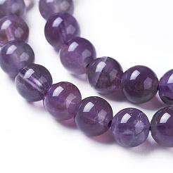 Natural Amethyst Round Bead Strands&nbsp;G-L170-6mm-03