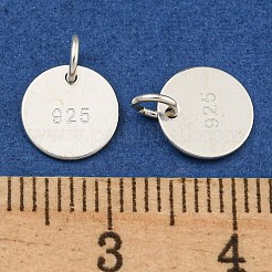 6Pcs 925 Sterling Silver Charms&nbsp;STER-BC0001-64