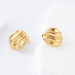 304 Stainless Steel Stud Earrings for Women&nbsp;DA0385