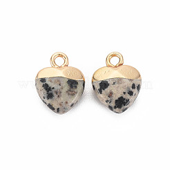 Natural Dalmatian Jasper Charms&nbsp;LS-G-N326-121-01