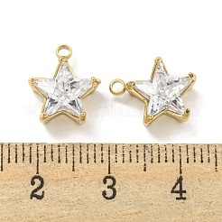 PVD Vacuum Plating 304 Stainless Steel Cubic Zirconia Pendants&nbsp;STAS-L278-008G