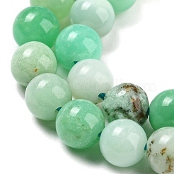 Natural Chrysoprase Beads Strands&nbsp;G-P503-6MM-03