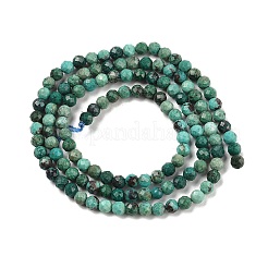 Natural Chrysocolla Beads Strands&nbsp;G-P514-A03-02-A