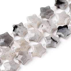 Natural Grey Labradorite Beads Strands&nbsp;G-T138-184