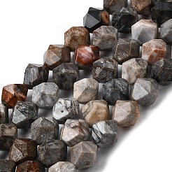Natural Fossil Coral Beads Strands&nbsp;G-Z119-A26-03