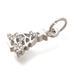 Rack Plating Brass Micro Pave Cubic Zirconia Charms&nbsp;KK-H508-30P