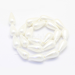 Shell Pearl Beads Strands&nbsp;BSHE-P024-06
