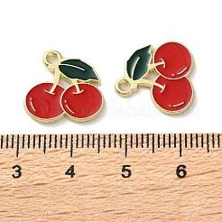 Fruit Alloy Enamel Charms&nbsp;LS-PALLOY-S058-01LG-10