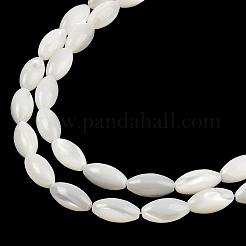 Natural Trochus Shell Beads Strands&nbsp;BSHE-G036-06B