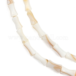 Natural Freshwater Shell Beads Strands&nbsp;SHEL-G013-01H