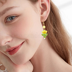 12Pcs Handmade Lampwork Beads&nbsp;LAMP-PA0001-01