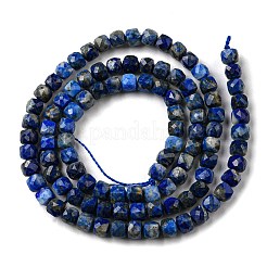 Natural Lapis Lazuli Beads Strands&nbsp;G-C052-05B