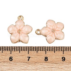Zinc Alloy Enamel Pendants&nbsp;X-PALLOY-I124-10G-A-1