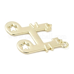 Alloy Pendants&nbsp;FIND-L025-09G