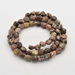 Natural Leopard Skin Jasper Bead Strands&nbsp;X-G-P070-56