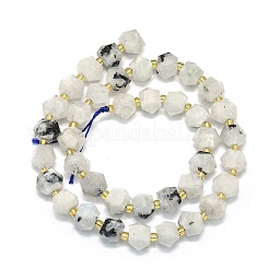Natural Rainbow Moonstone Beads Strands&nbsp;G-I376-A34-01