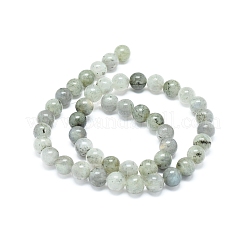 Natural Labradorite Beads Strands&nbsp;G-G828-01-8mm