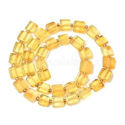 Natural Amber Beads Strands&nbsp;G-C260-A01-04