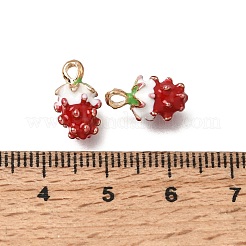 Alloy Enamel Pendants&nbsp;AL-CBA4F42-01G