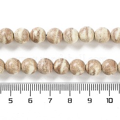 Natural Rainbow Alashan Agate Beads Strands&nbsp;G-NH0022-A10-02
