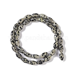 Natural Dalmatian Jasper Beads Strands&nbsp;G-K362-I14-06