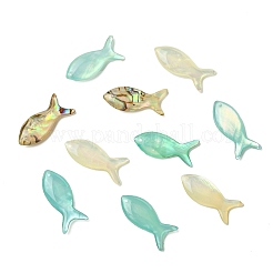 16Pcs 4 Colors Natural Shell Pendants&nbsp;SHEL-CJ0001-40