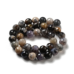 Natural Dendritic Jasper Beads Strands&nbsp;G-E571-32B