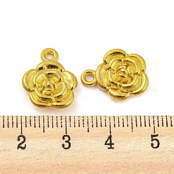 Alloy Pendants&nbsp;FIND-G065-15G