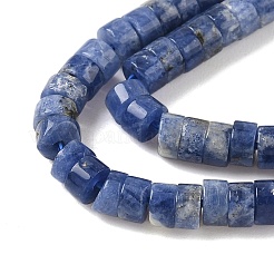Natural Sodalite Beads Strands&nbsp;G-P468-19