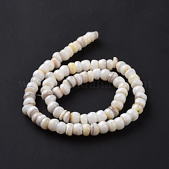 Natural Cultured Freshwater Shell Beads Strands&nbsp;SHEL-F002-01D