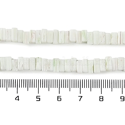 Handmade Lampwork Beads Strands&nbsp;LAMP-Q037-02B-19