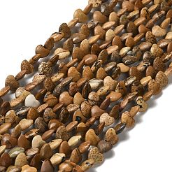 Natural Picture Jasper Beads Strands&nbsp;G-P575-C08-6mm