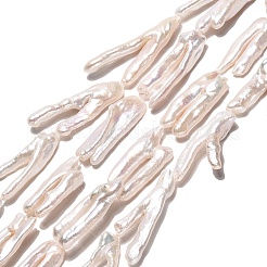 Natural Baroque Keshi Pearl Beads Strands&nbsp;PEAR-S020-Y04
