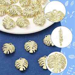20Pcs Alloy Pendants&nbsp;FIND-FS0005-11