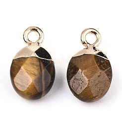 Natural Tiger Eye Charms&nbsp;G-N326-58C