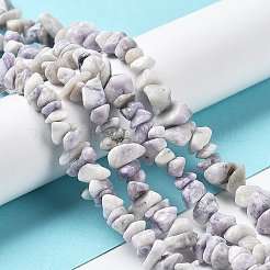 Natural Purple Turquoise Beads Strands&nbsp;G-M205-84