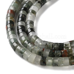 Natural African Bloodstone Beads Strands&nbsp;G-H230-59