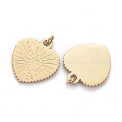 Ion Plating(IP) 304 Stainless Steel Charms&nbsp;STAS-F256-053G