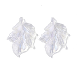 Transparent Acrylic Beads&nbsp;OACR-P007-34