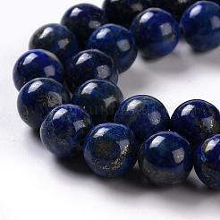 Natural Dyed Lapis Lazuli Bead Strands&nbsp;G-G953-04-10mm