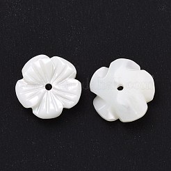Natural Trochid Shell/Trochus Shell Beads&nbsp;SHEL-P014-02B