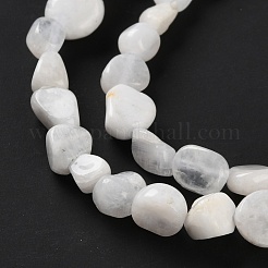 Natural Rainbow Moonstone Beads Strands&nbsp;G-P497-01C-63