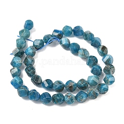 Natural Apatite Beads Strands&nbsp;G-C267-B08