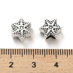 Tibetan Style Alloy European Beads&nbsp;PALLOY-K019-03H-AS