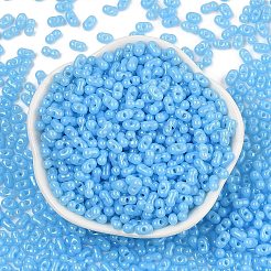 Baking Paint Glass Seed Beads&nbsp;SEED-L011-09A-06