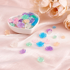 300Pcs 3 Style Transparent Resin Cabochons&nbsp;CRES-YS0001-05