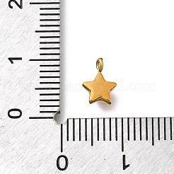 304 Stainless Steel Charms&nbsp;STAS-R159-58G-02