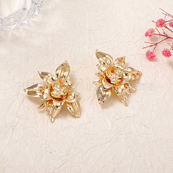 Zinc Alloy Stud Earrings for Women&nbsp;WGD1381-01